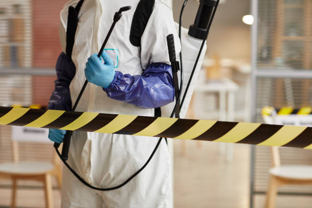 Professional Sewage Cleanup technician working in Hanover, OH